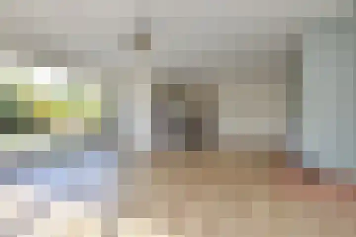 Spaerwoude 8 Pijnacker foto 3