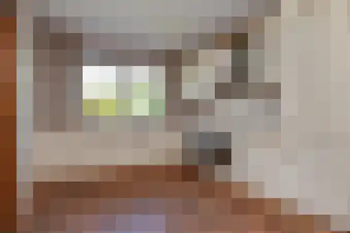 Spaerwoude 8 Pijnacker thumbnail 31