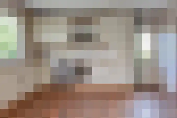 Spaerwoude 8 Pijnacker thumbnail 32