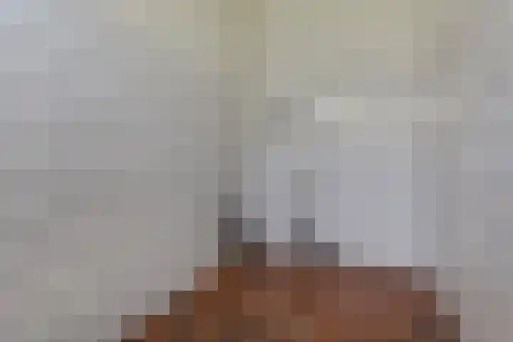 Spaerwoude 8 Pijnacker thumbnail 34