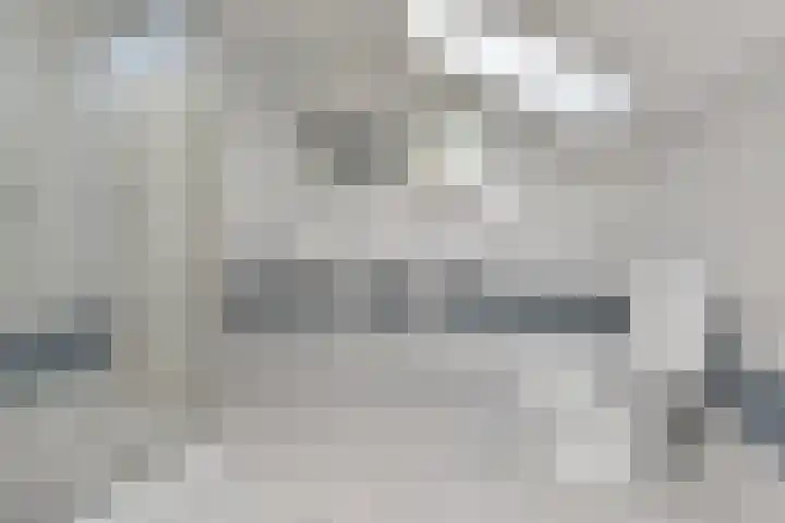 Spaerwoude 8 Pijnacker thumbnail 38