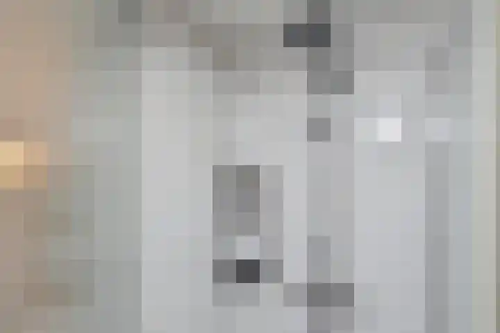 Spaerwoude 8 Pijnacker thumbnail 39