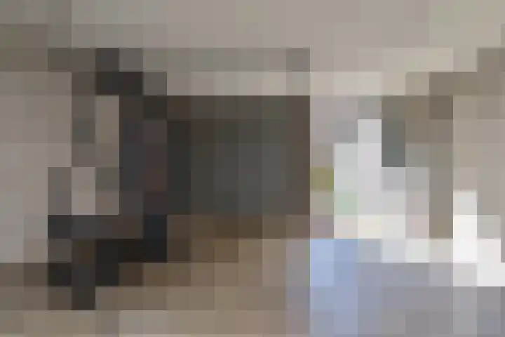Spaerwoude 8 Pijnacker thumbnail 47
