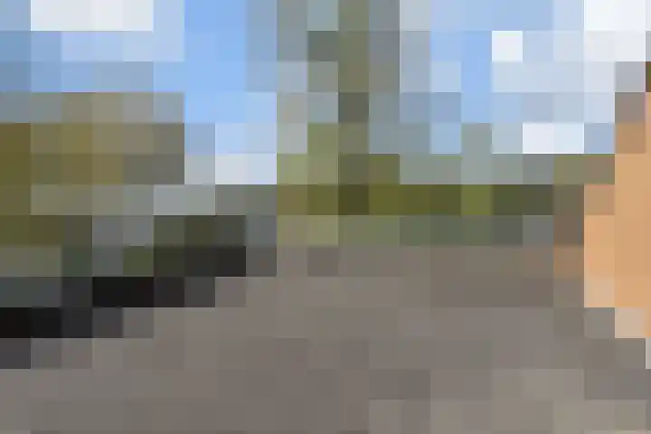 Spaerwoude 8 Pijnacker thumbnail 48