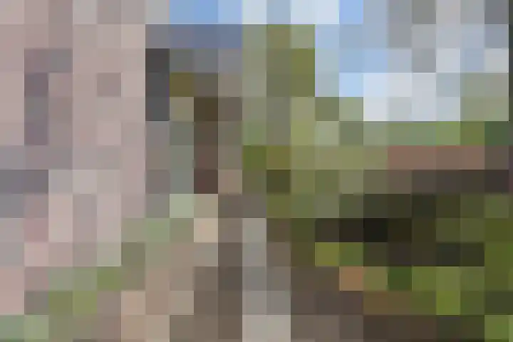 Spaerwoude 8 Pijnacker thumbnail 51