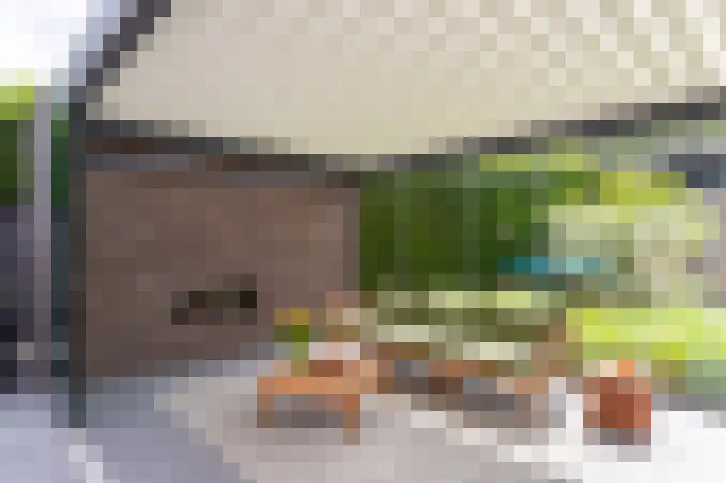 Spagetstraat 11 Helmond thumbnail 35