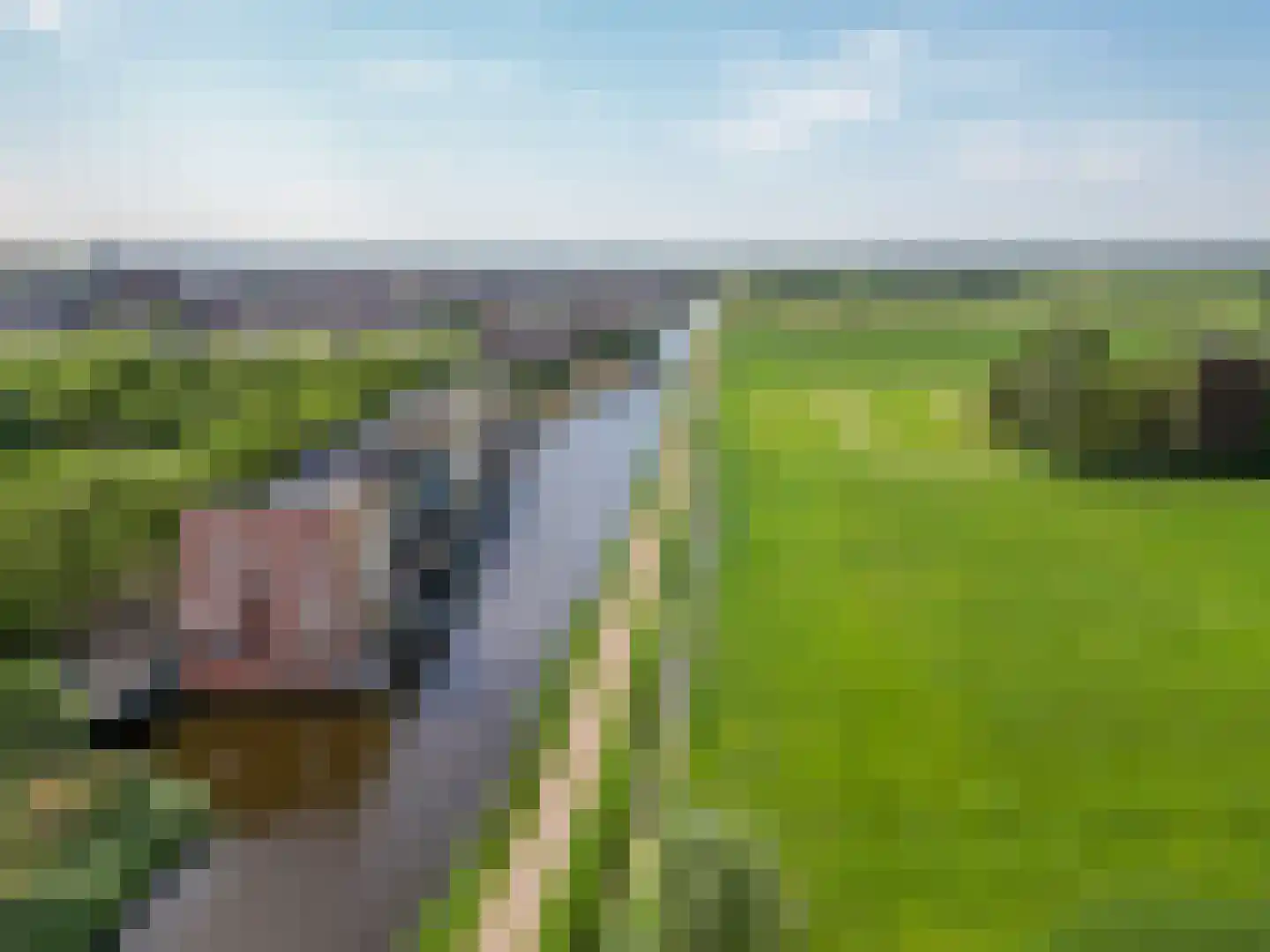 Spakenburgkade 18 B Amersfoort thumbnail 32