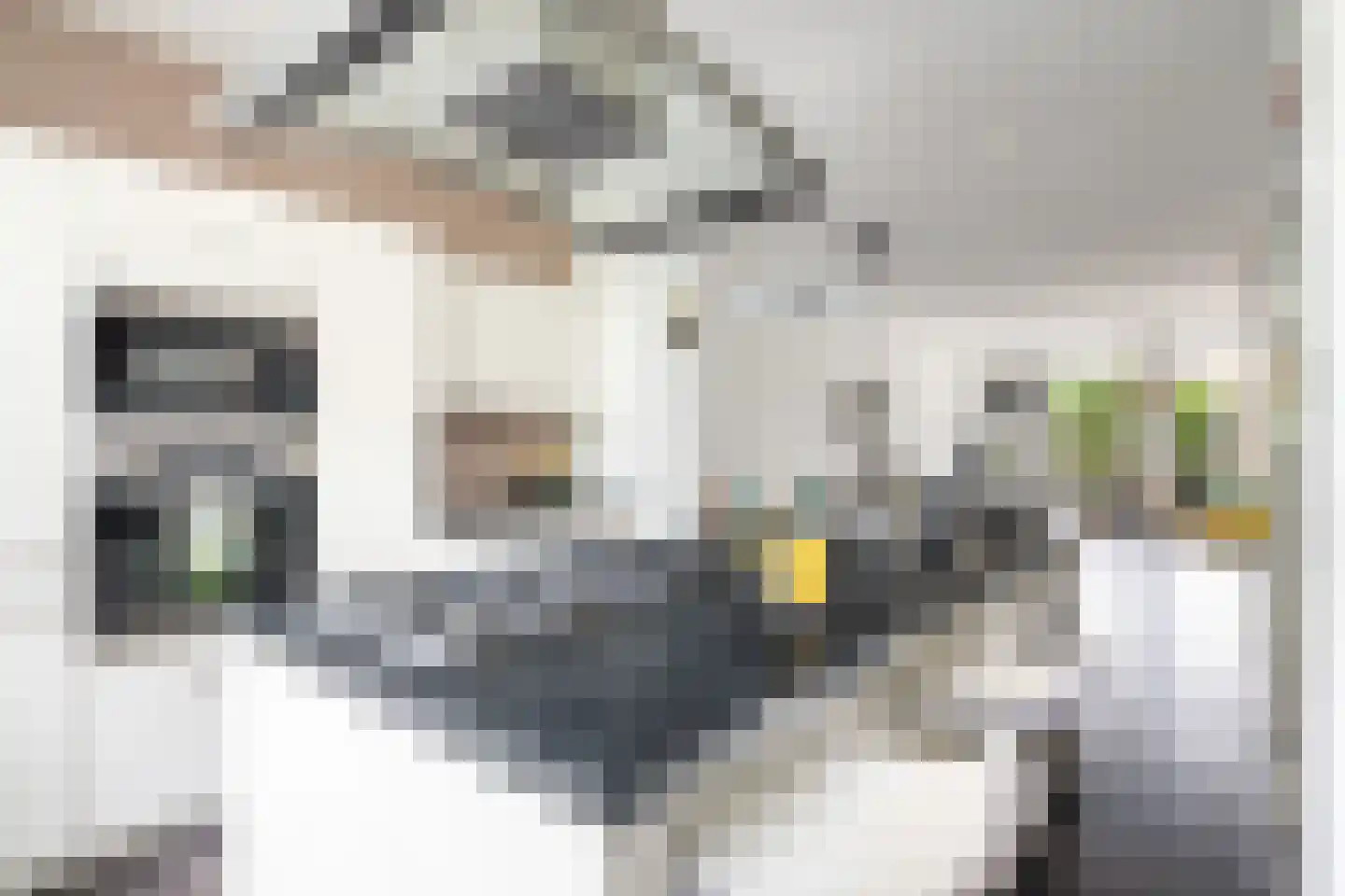 Spakenburgkade 43 Amersfoort thumbnail 6