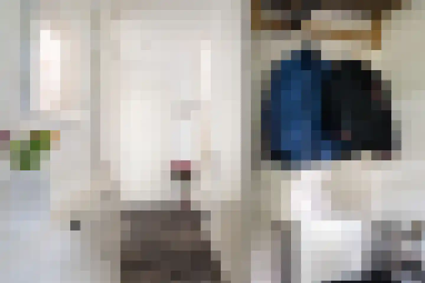 Spakenburgkade 43 Amersfoort thumbnail 7