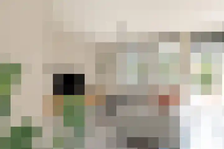 Spakenburgkade 49 Amersfoort thumbnail 17