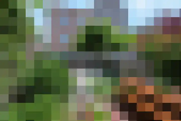 Spakenburgkade 49 Amersfoort thumbnail 47