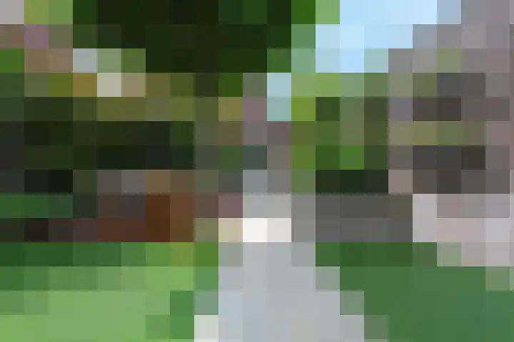 Spakenburgkade 49 Amersfoort thumbnail 9