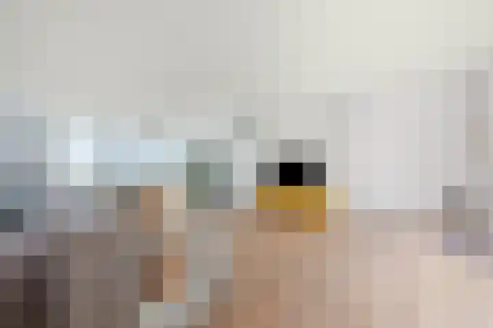 Spakenburgkade 6 Amersfoort thumbnail 27