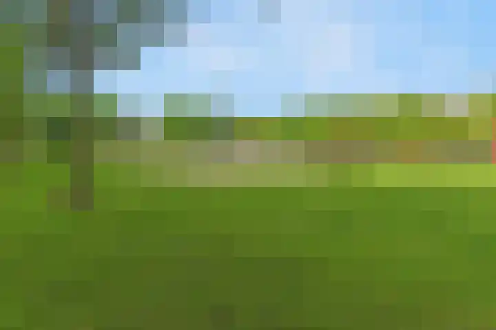 Spakenburgkade 6 Amersfoort thumbnail 47