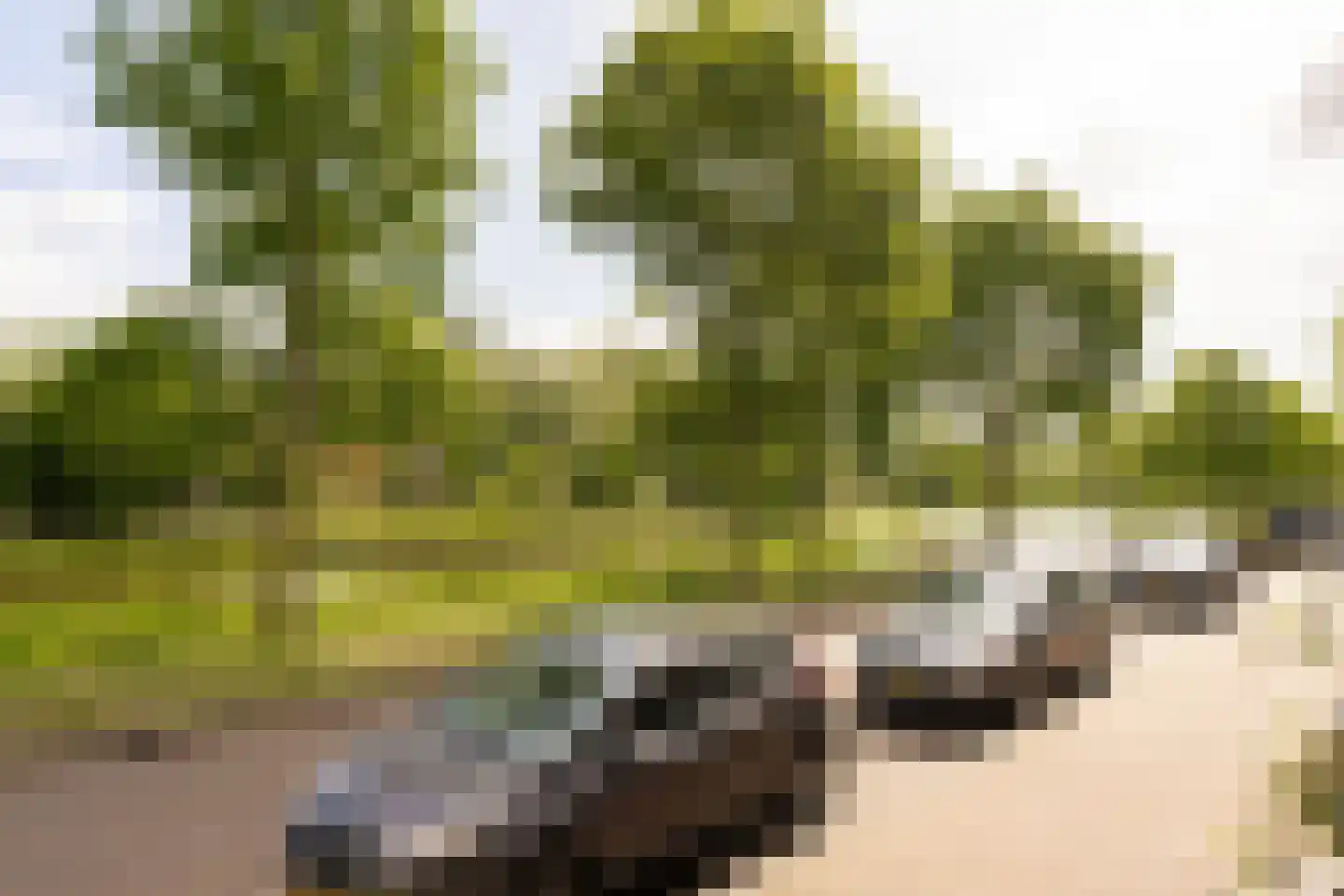 Spakenburgkade 9 Amersfoort thumbnail 48