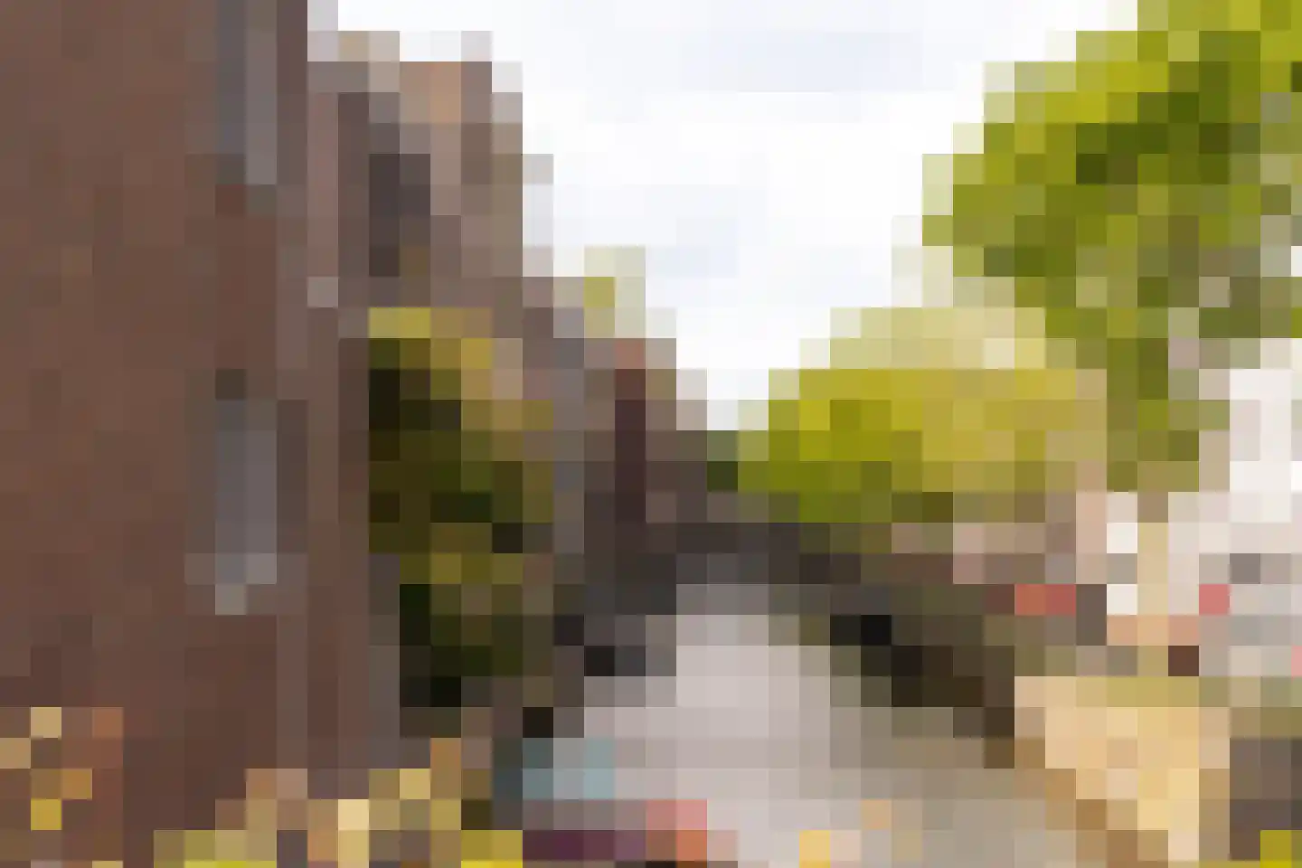 Spakenburgkade 9 Amersfoort thumbnail 49