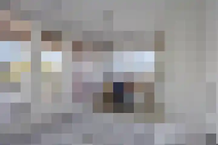 Spakenburglaan 100 Tilburg thumbnail 32