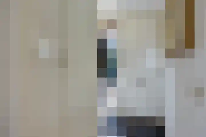 Spakenburglaan 100 Tilburg thumbnail 9