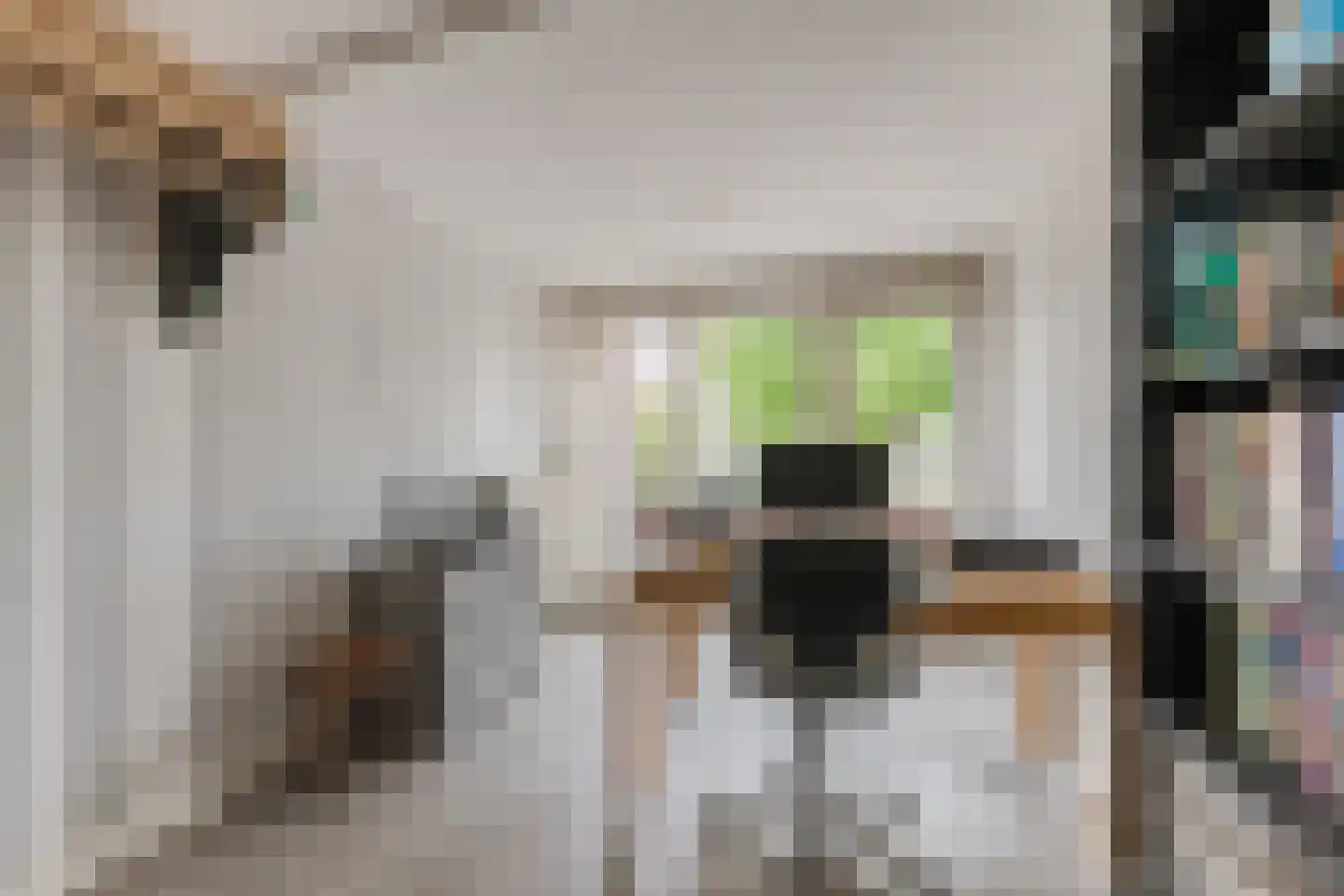 Spakenburglaan 110 Tilburg thumbnail 18