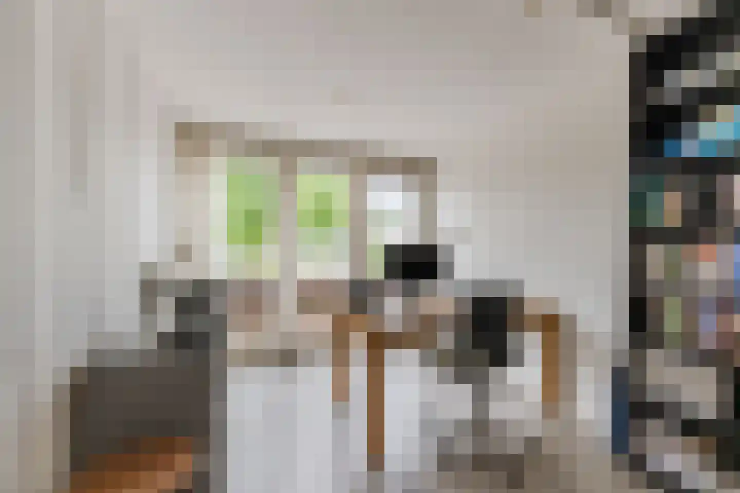 Spakenburglaan 110 Tilburg thumbnail 21