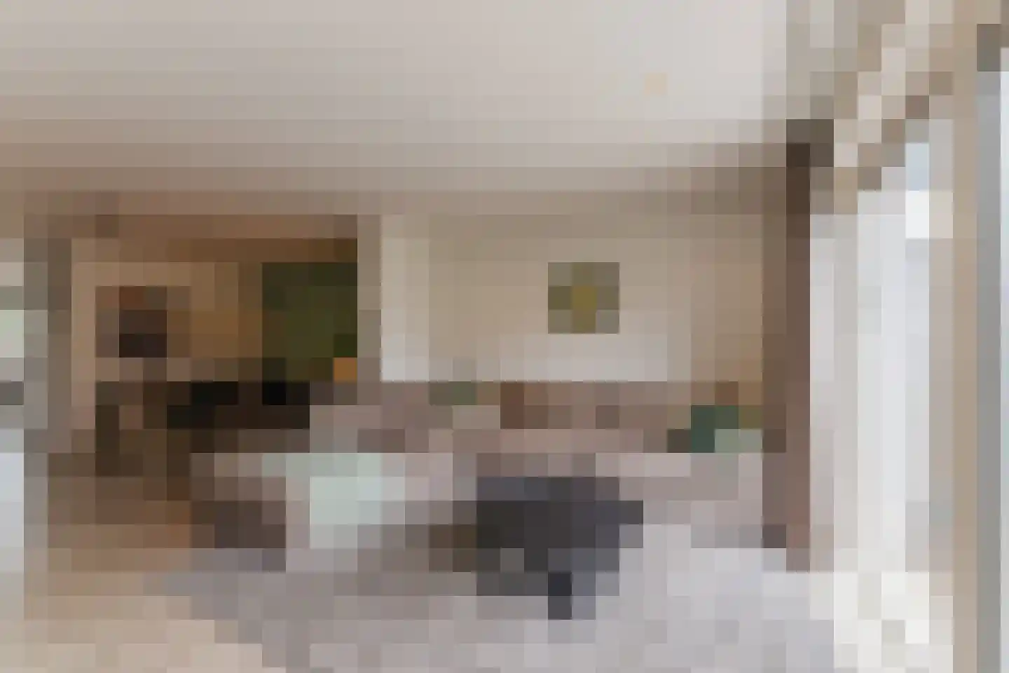 Spakenburglaan 110 Tilburg thumbnail 6