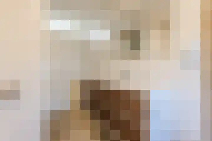 Spakenburglaan 120 Tilburg thumbnail 21