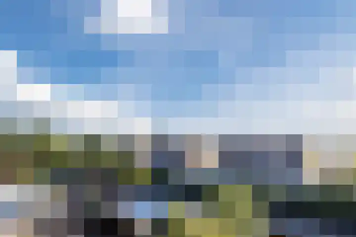 Spakenburglaan 120 Tilburg thumbnail 31
