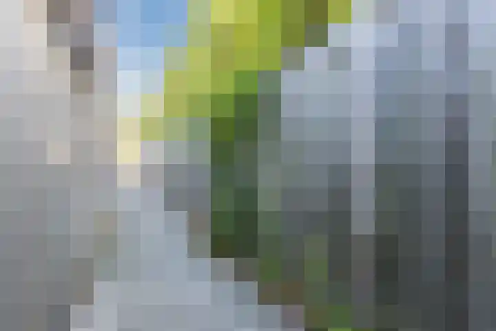Spakenburglaan 120 Tilburg thumbnail 34