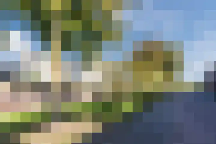 Spakenburglaan 120 Tilburg thumbnail 35