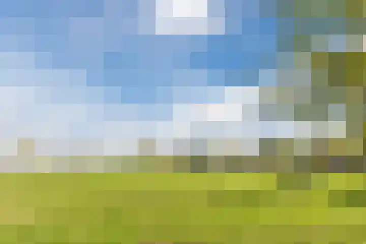 Spakenburglaan 120 Tilburg thumbnail 37