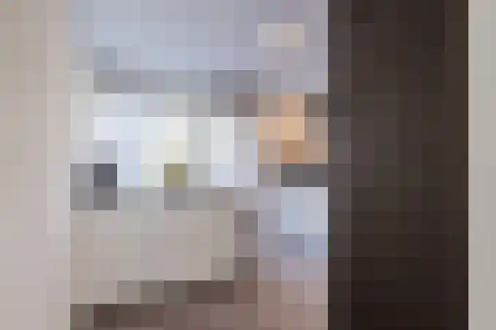 Spakenburglaan 120 Tilburg thumbnail 9