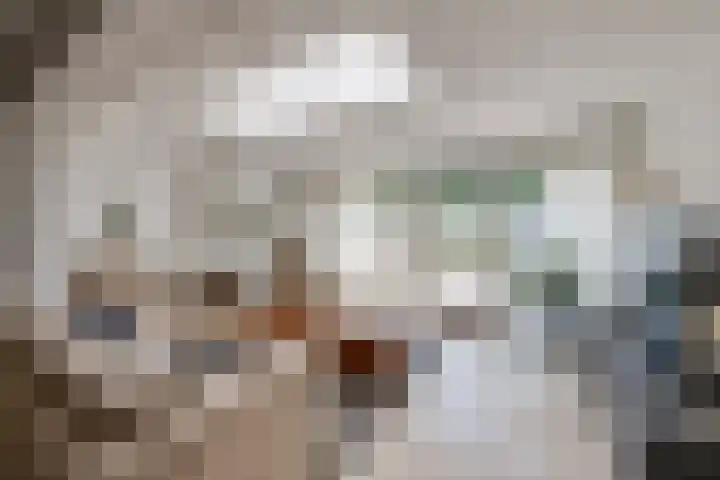 Spakenburglaan 122 Tilburg thumbnail 10