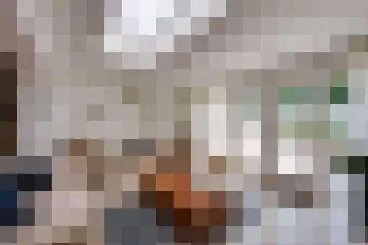 Spakenburglaan 122 Tilburg thumbnail 11