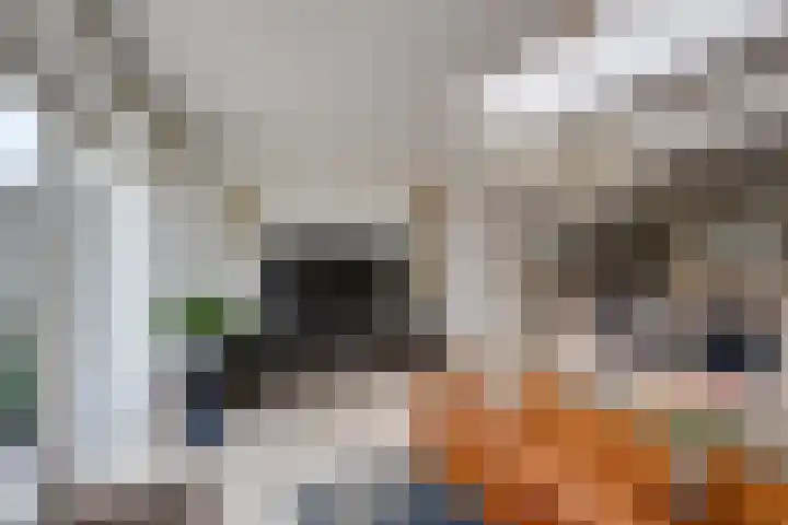 Spakenburglaan 122 Tilburg thumbnail 14