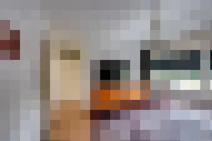 Spakenburglaan 122 Tilburg thumbnail 23