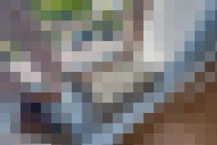 Spakenburglaan 122 Tilburg thumbnail 40