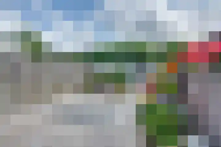 Spakenburglaan 122 Tilburg thumbnail 41