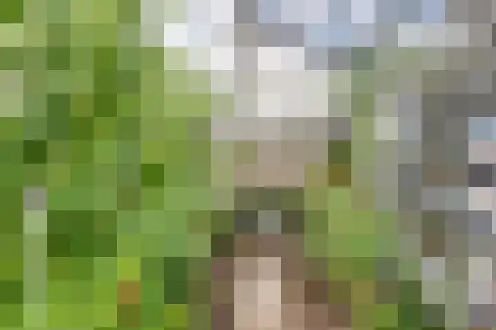 Spakenburglaan 122 Tilburg thumbnail 43