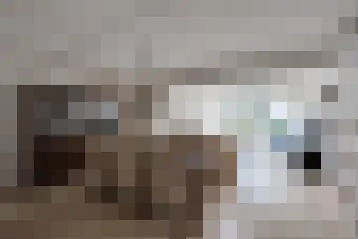 Spakenburglaan 122 Tilburg thumbnail 7