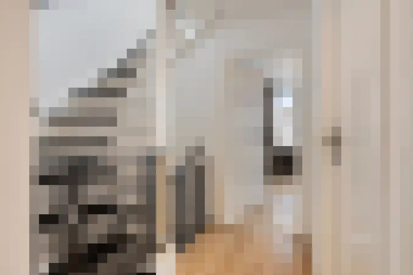 Spakenburglaan 174 Tilburg thumbnail 25
