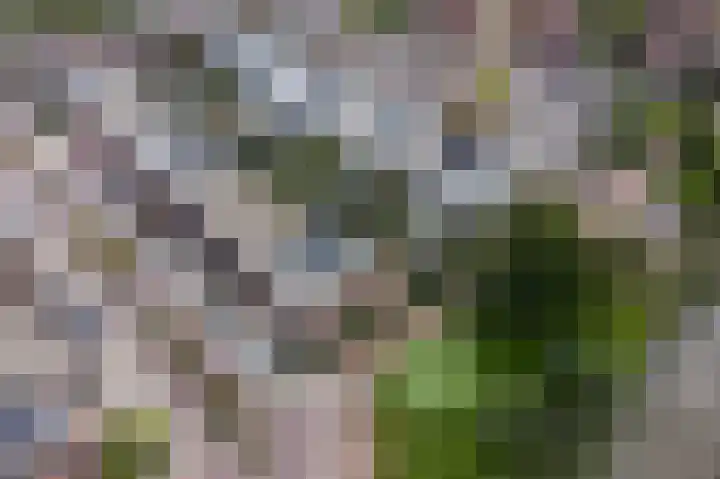 Spakenburglaan 2 Lelystad thumbnail 36
