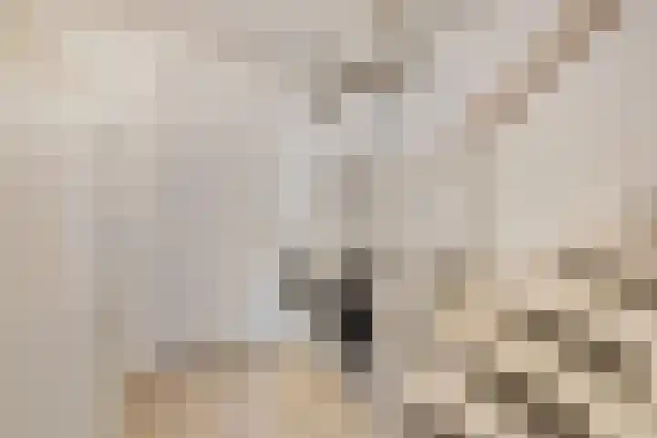 Spakenburglaan 26 Lelystad thumbnail 19