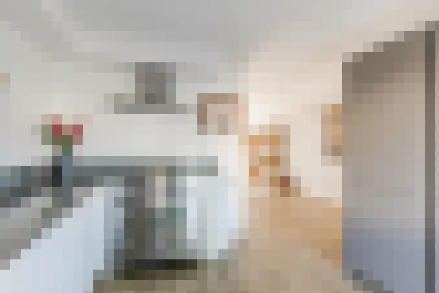 Spakenburglaan 60 Tilburg thumbnail 14