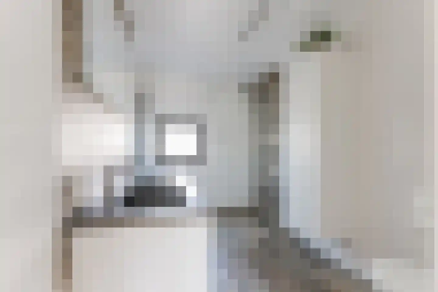 Spakenburglaan 60 Tilburg thumbnail 22