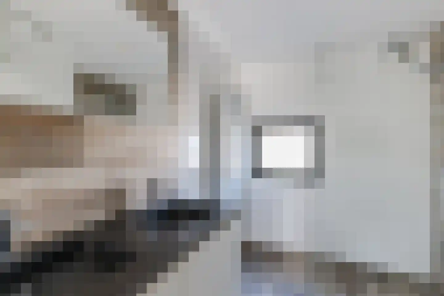 Spakenburglaan 60 Tilburg thumbnail 23