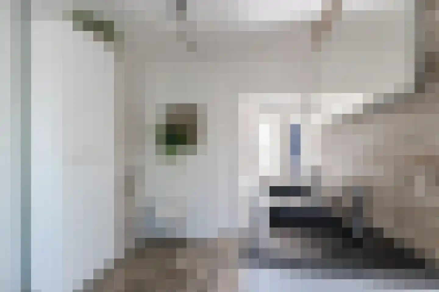Spakenburglaan 60 Tilburg thumbnail 24