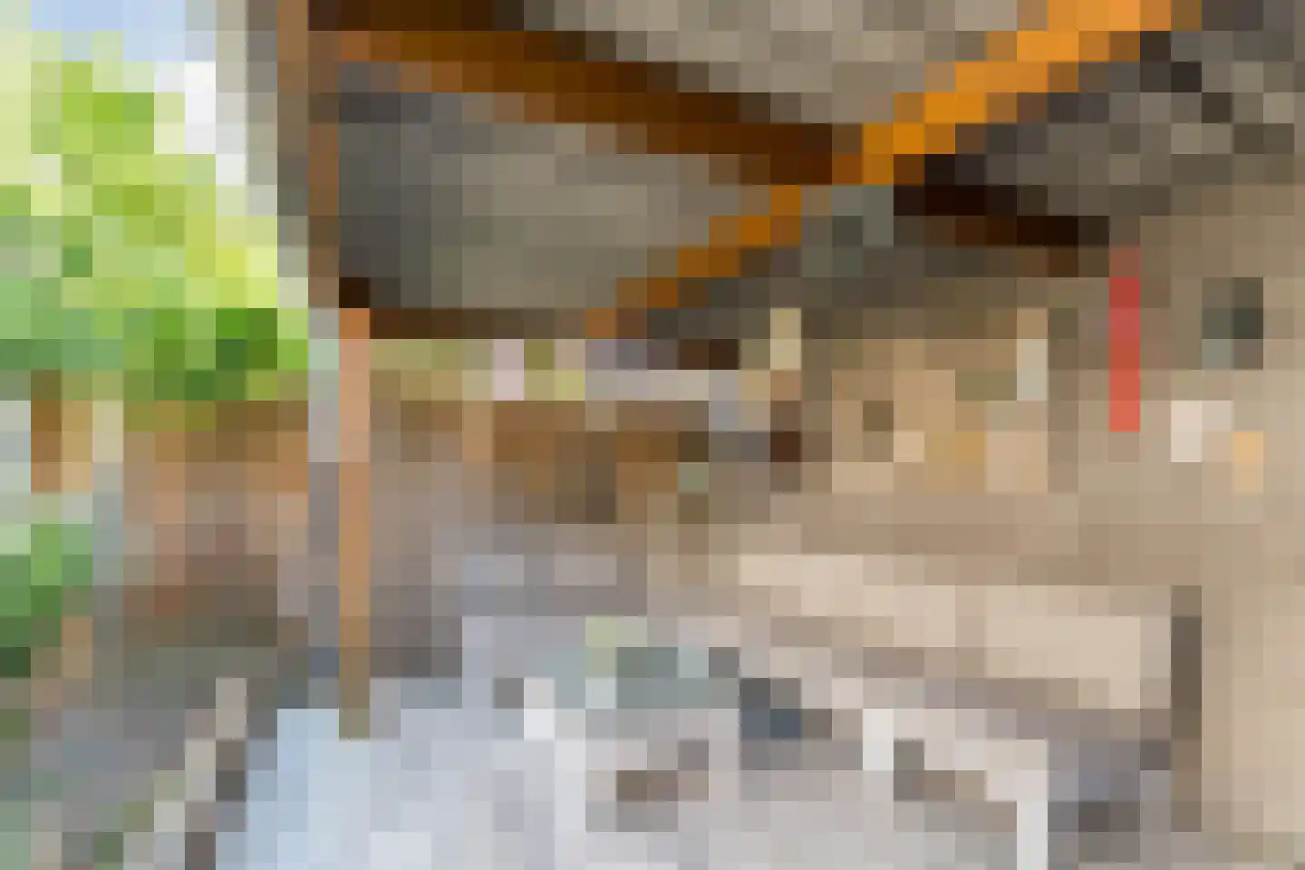 Spakenburglaan 60 Tilburg thumbnail 37