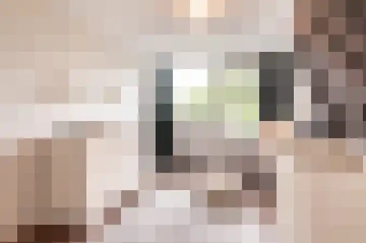 Spakenburgpad 20 Harderwijk thumbnail 19