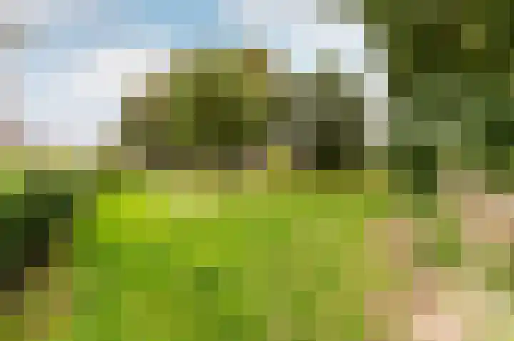 Spakenburgpad 20 Harderwijk thumbnail 40
