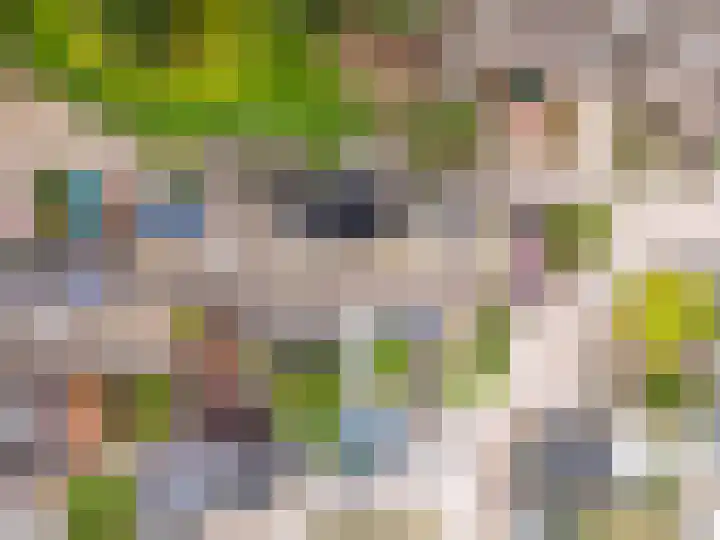 Spakenburgpad 20 Harderwijk thumbnail 45